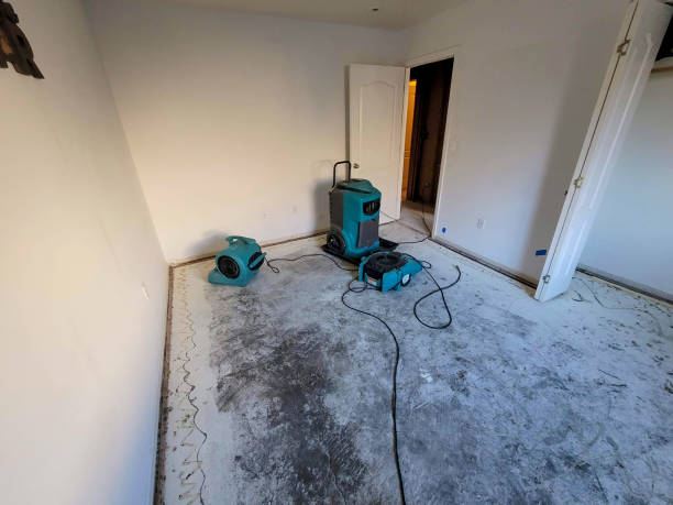 Best Water damage restoration near me  in Bloomingburg, OH