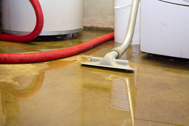 Best Carpet water damage restoration  in Bloomingburg, OH