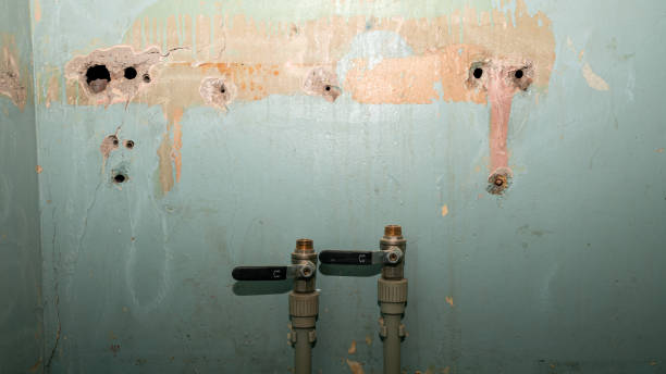 Best Basement water damage restoration  in Bloomingburg, OH