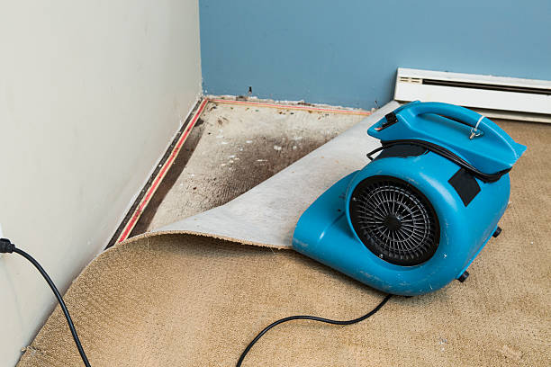 Best Fire Damage Restoration  in Bloomingburg, OH